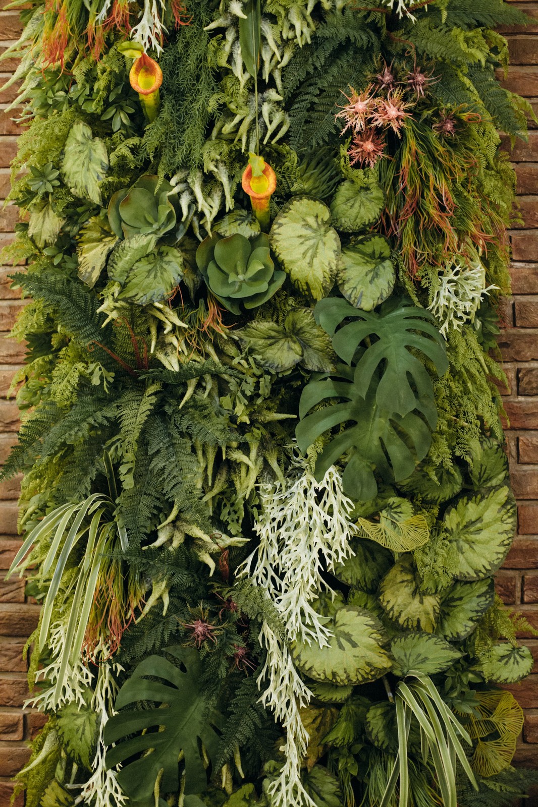 Фито стена - новый  тренд  в озеленении