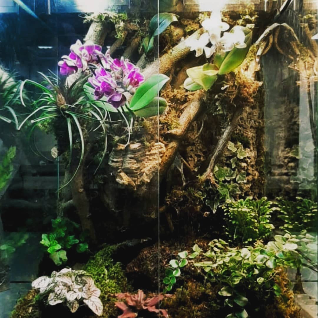 Флорариумы