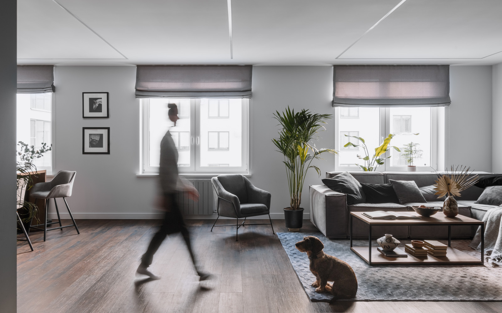 Жк "Царская столица"