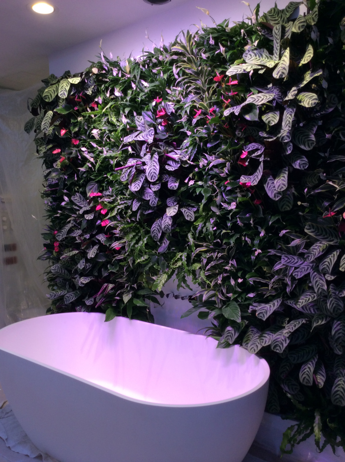 Наталья Крестинина