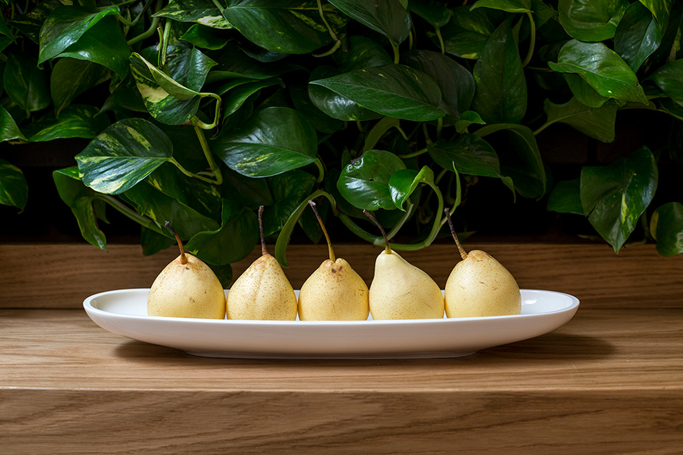 Азбука цветовода: Выбираем растения для вертикального сада