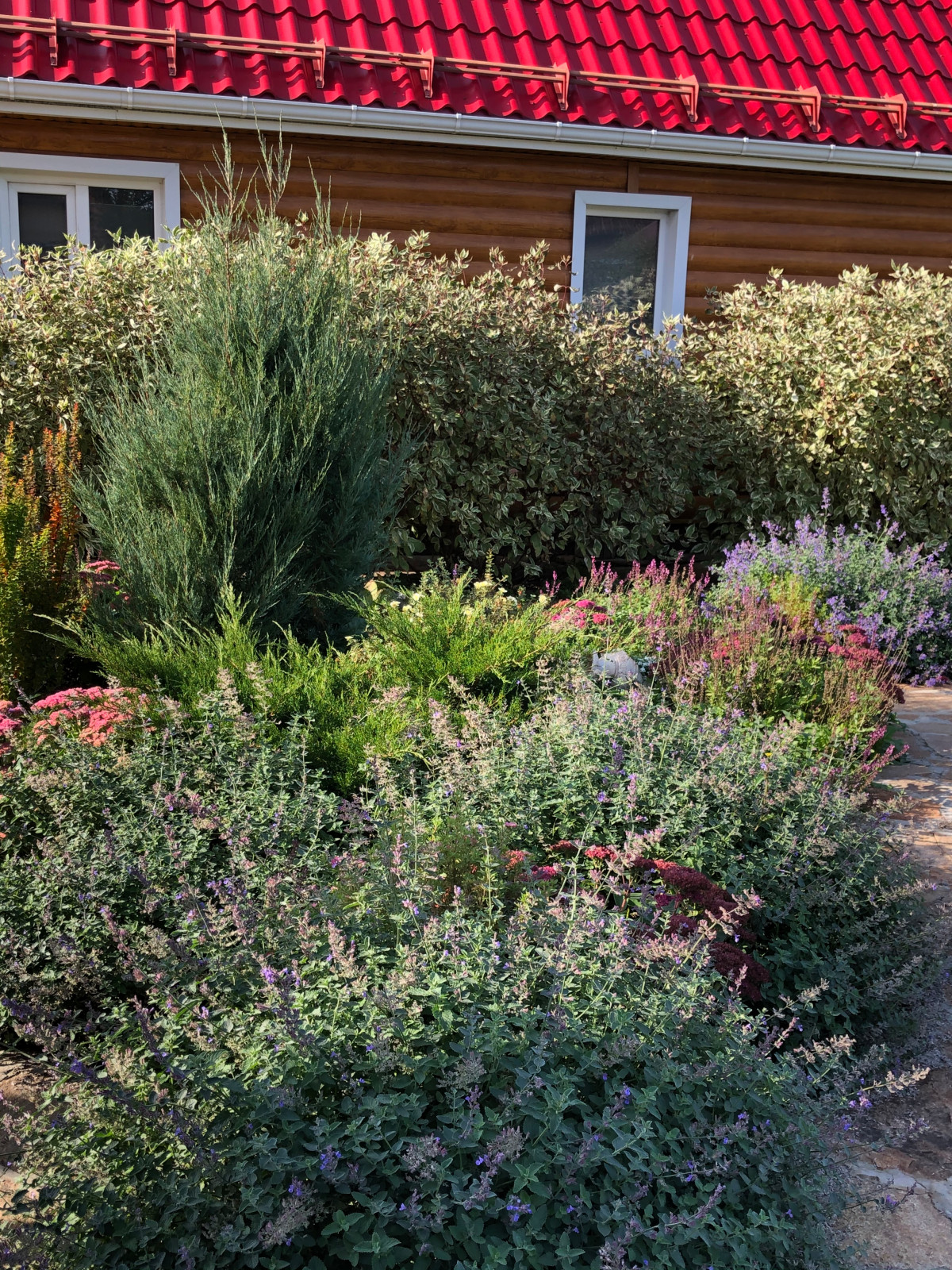 Обложка проекта: Растительные  композиции в мощении