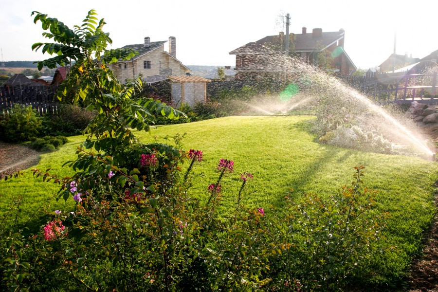 Полив в саду. Подмосковье.