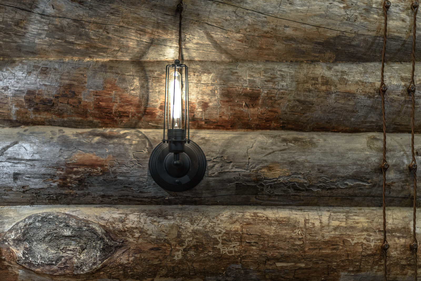 Проект недели: Баня из сухостойной сосны