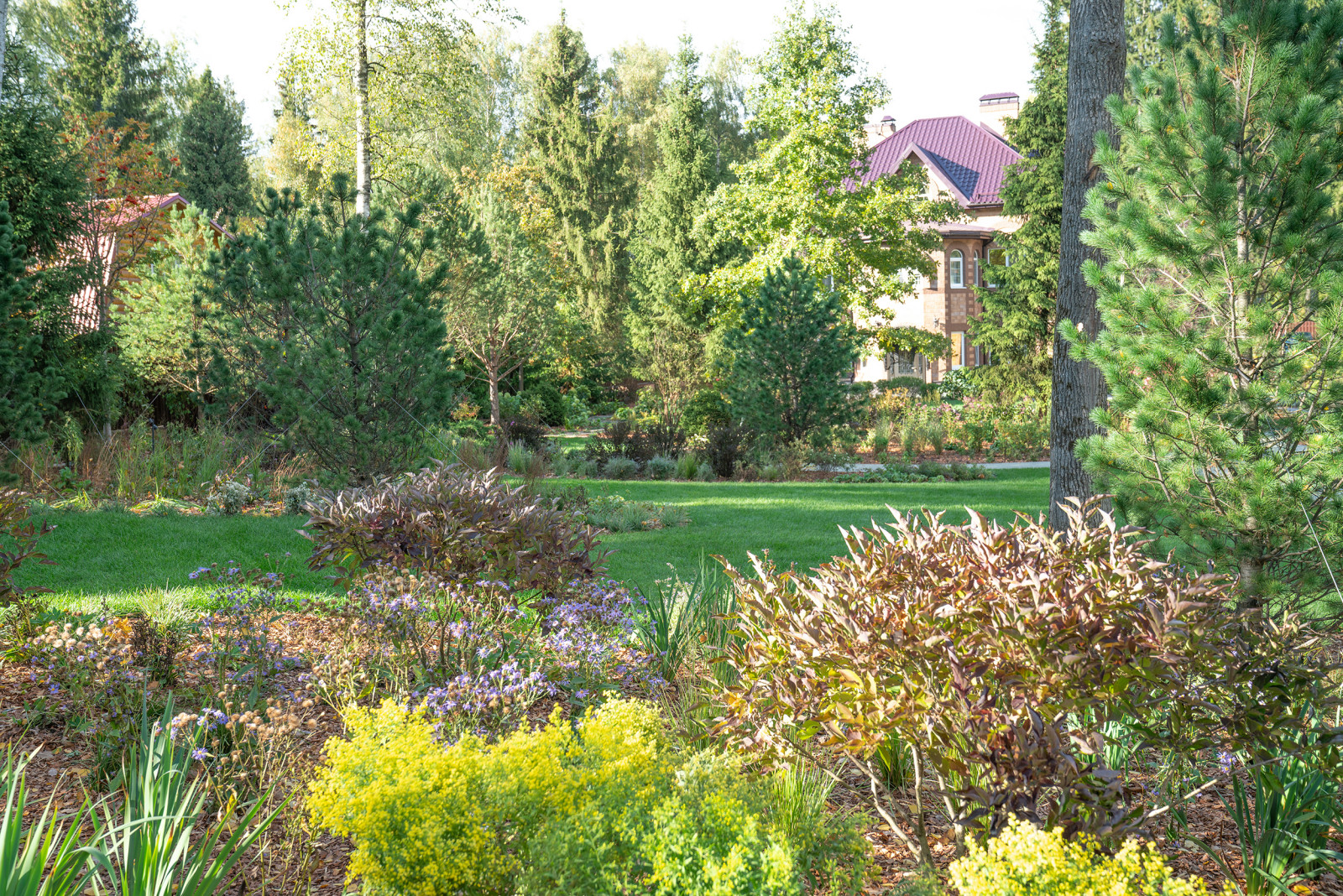 Круговорот  цвета. Дубровка 2021