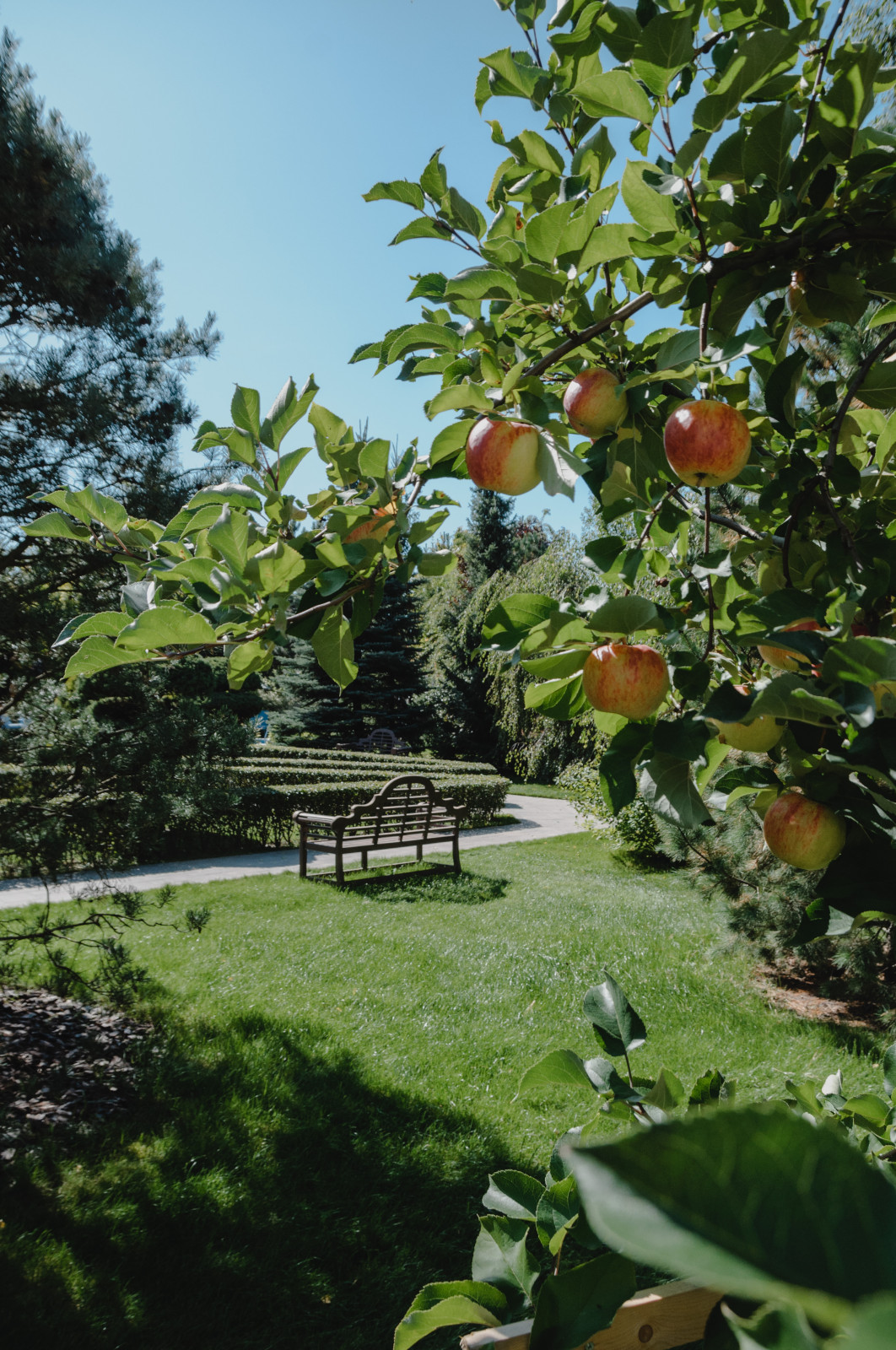 Обложка проекта: Регулярный сад