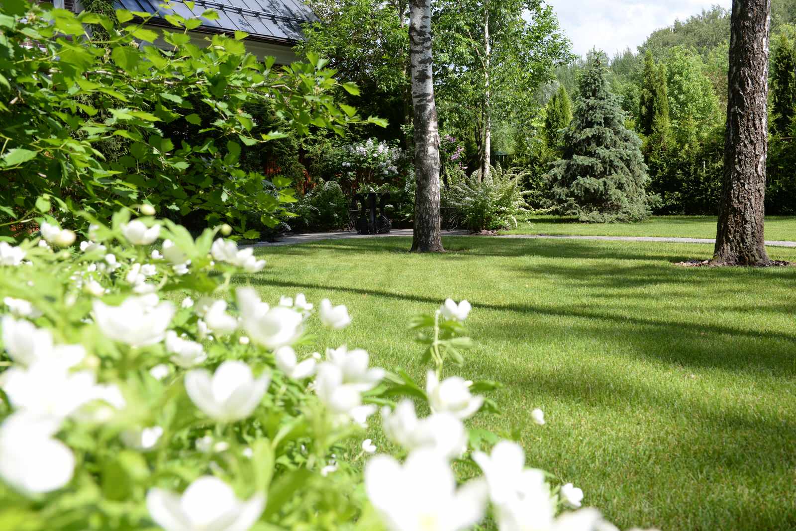 Новогорск 2021