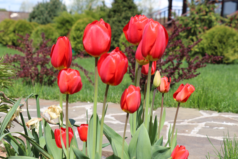 Весна 2020 Сосновые берега