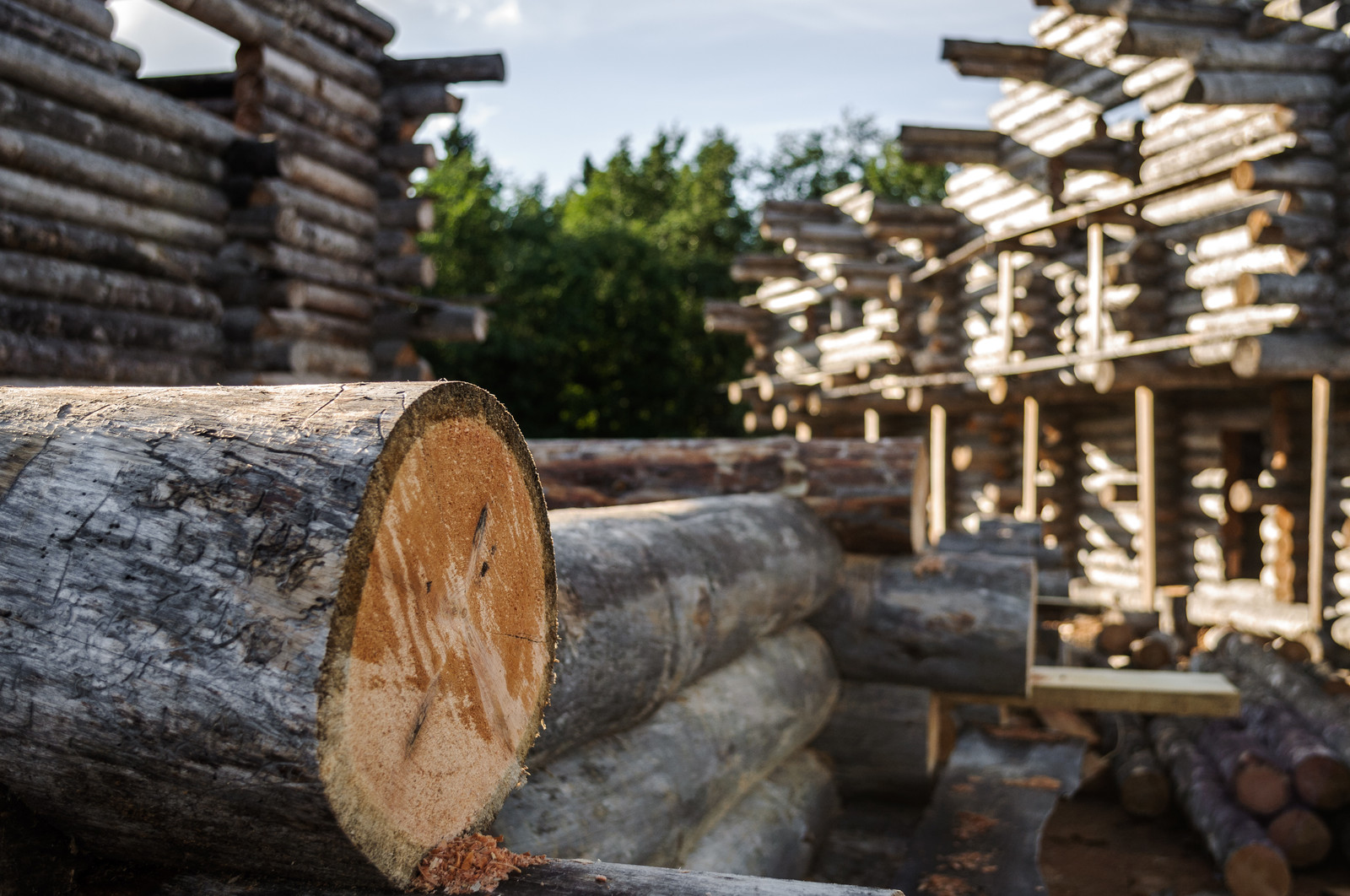 Производство и заготовка