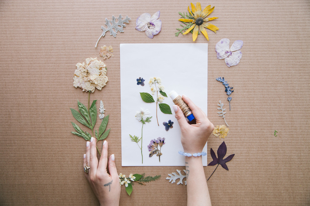 Своими руками: Как сделать гербарий – картину
