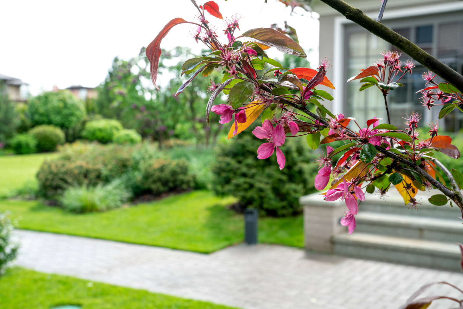 Игра контрастов. Миллениум Парк 2018 г.