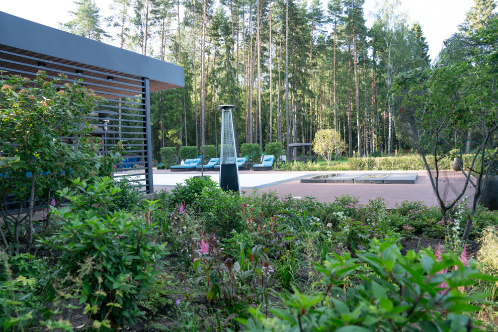 Лесные Зори. 1 Га. 2023 г.