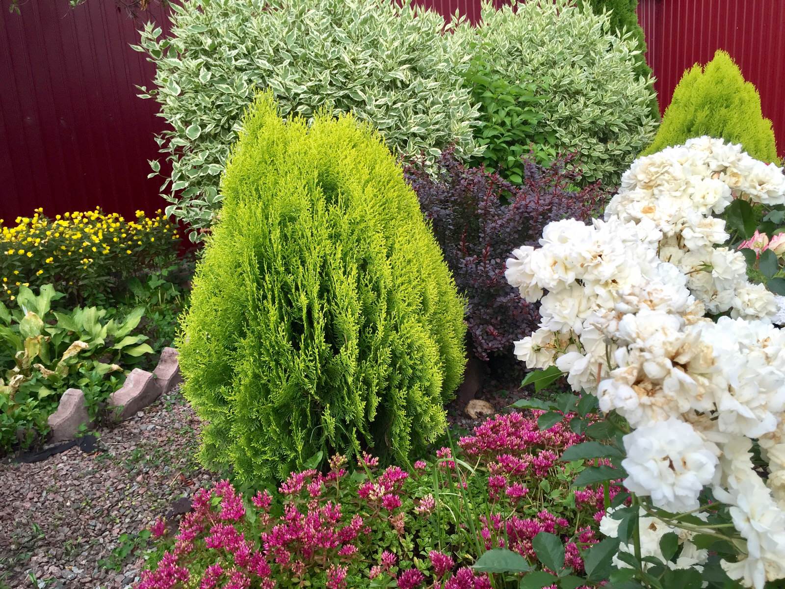 «Сад созерцания»