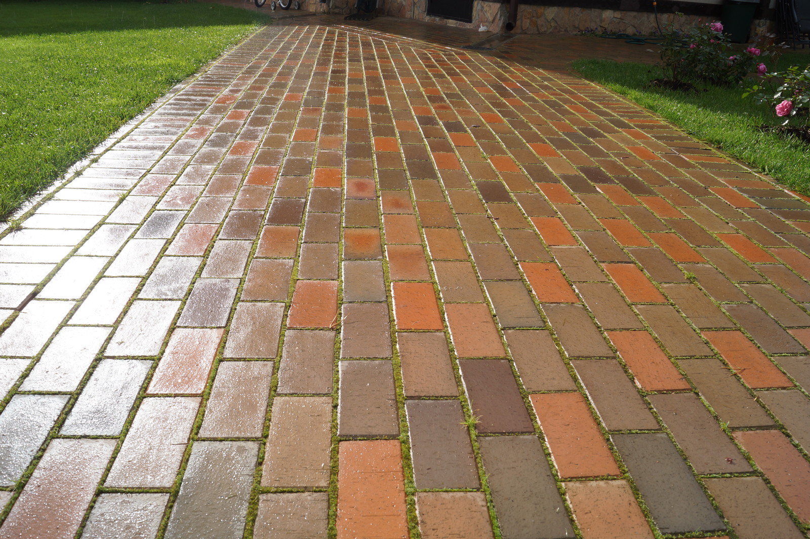 Токкари Лэнд