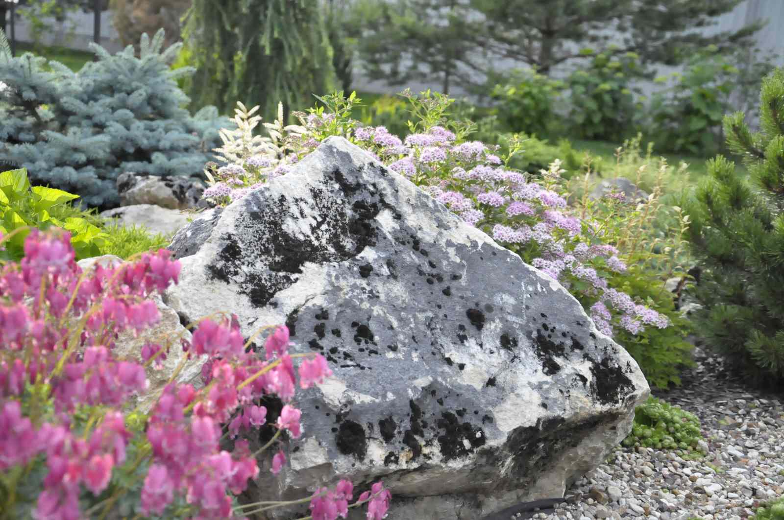 д. Косово - Уход за садом - 100% качество