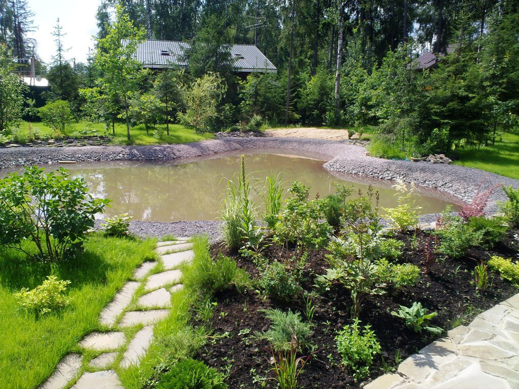 Обложка проекта: Пруд из габионов