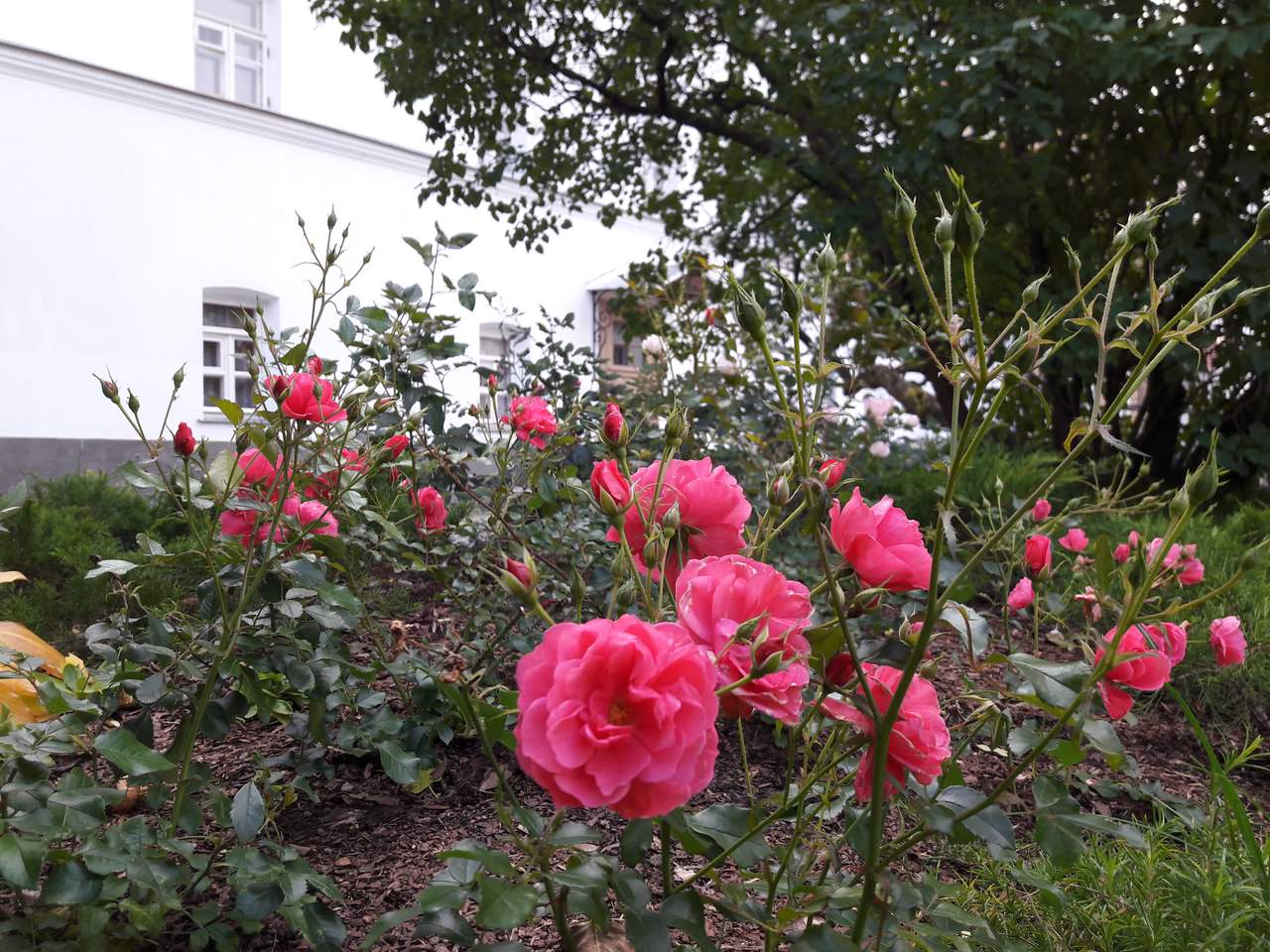 Валаам...Земля -загадка ..и большая наша любовь