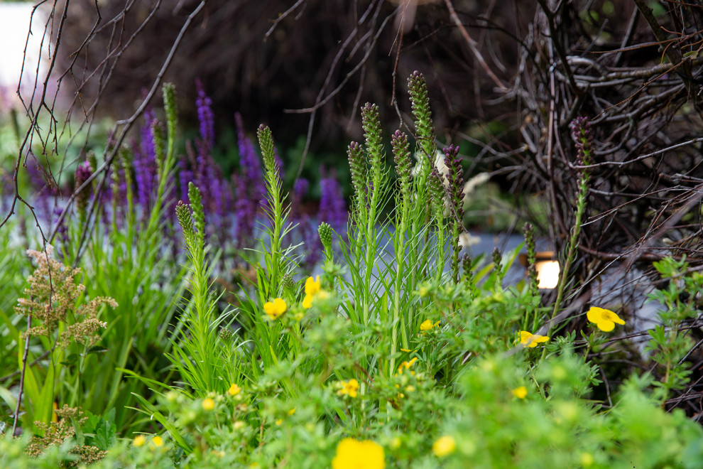 Фотосъемка Сада по сказке СиняяПтица на MFS 2019 Авторы М,Береснева М. ПРИНТЦ