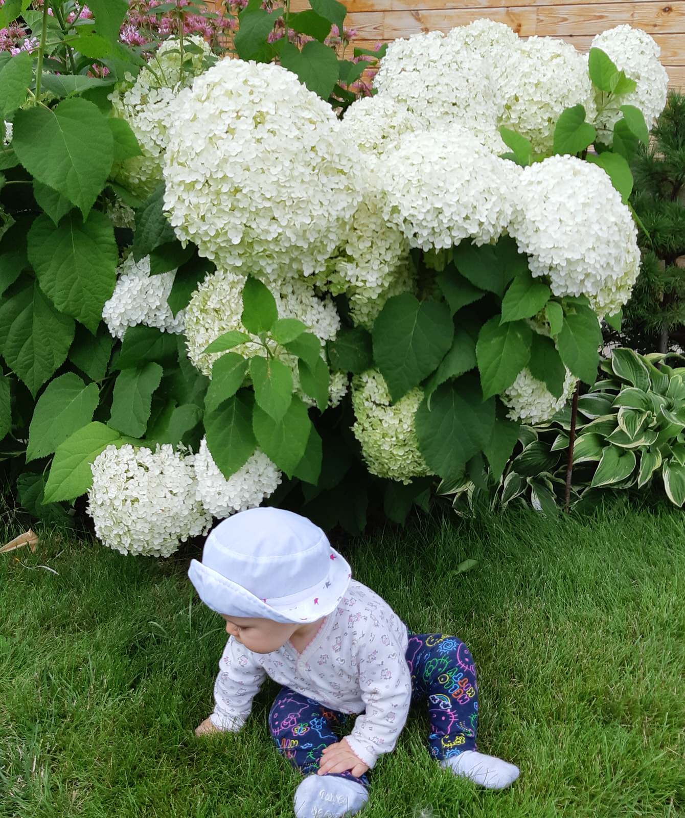 Медведково