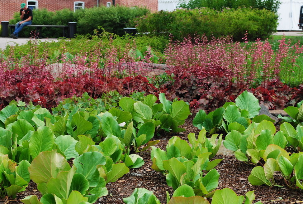 Валаам...Земля -загадка ..и большая наша любовь