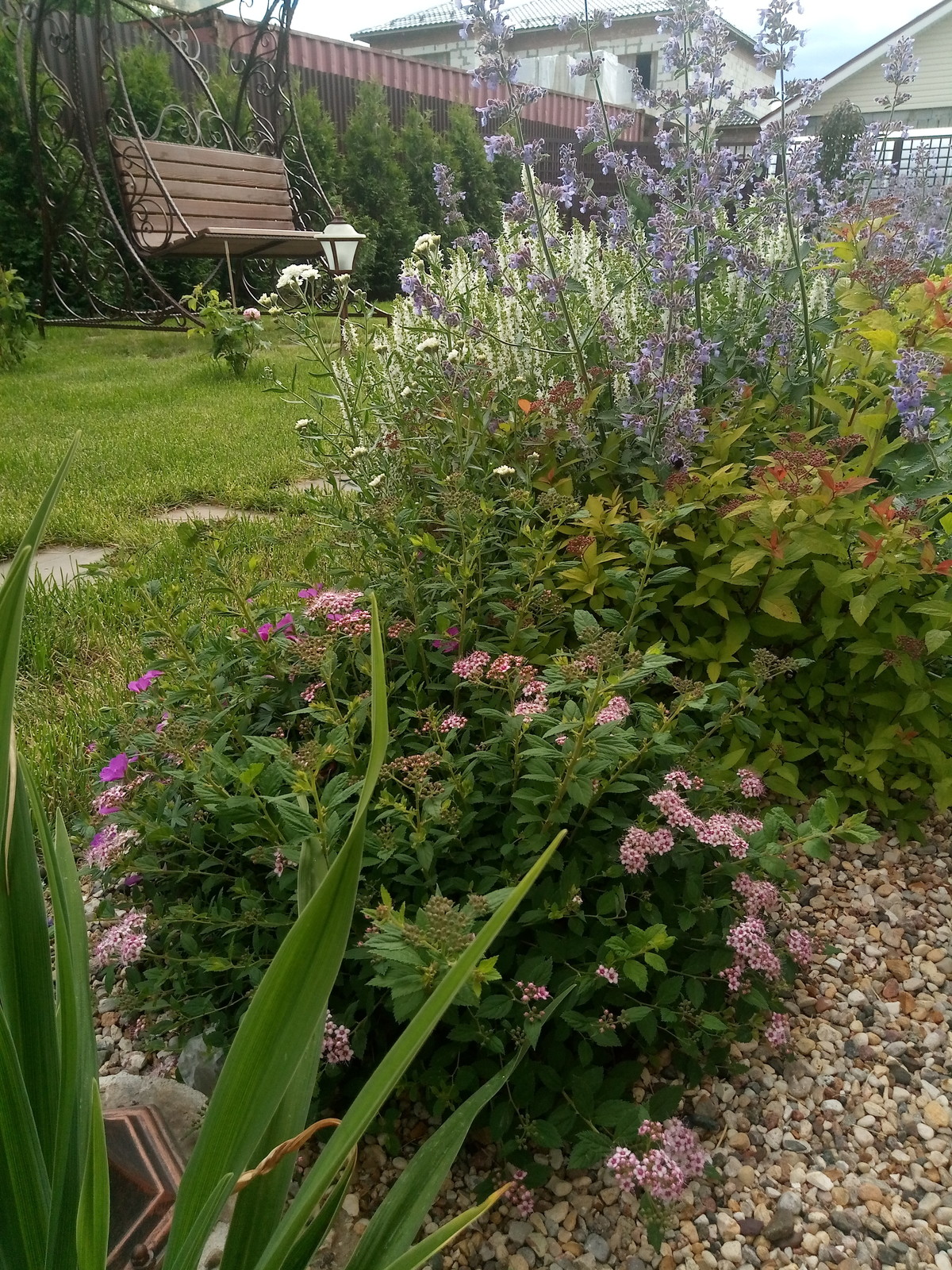 Зелёное удовольствие