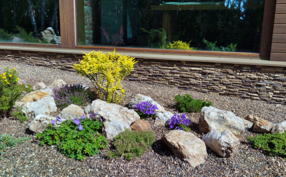 Проект лесного участка "Скалки"