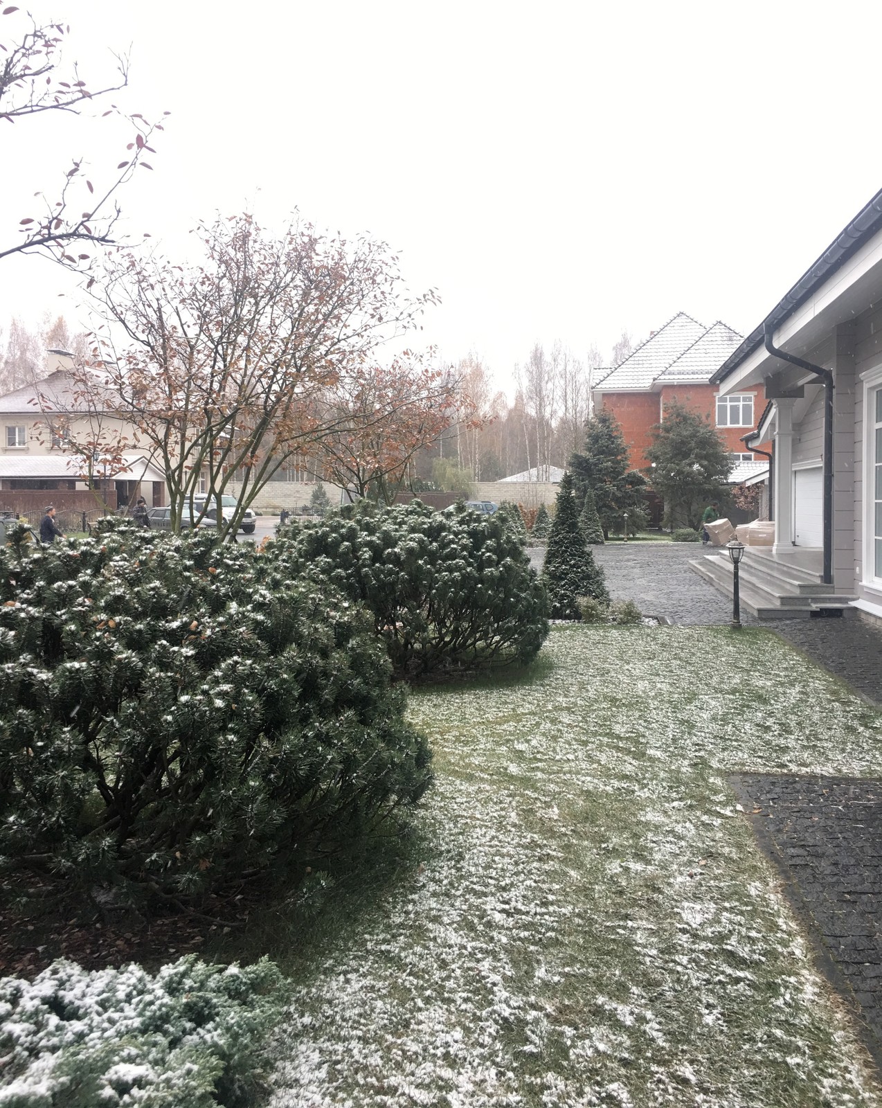 КП Снегири "Сад в пейзажном стиле" 50 соток