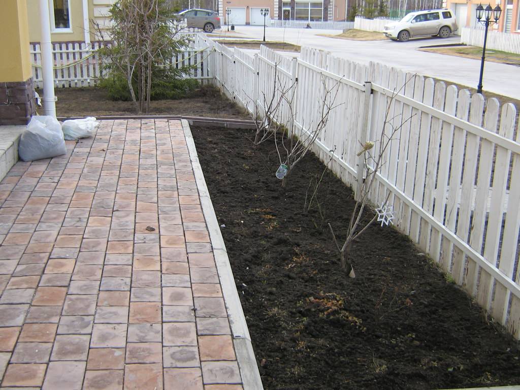 Фоновое изображение профиля Татьяна Чернова