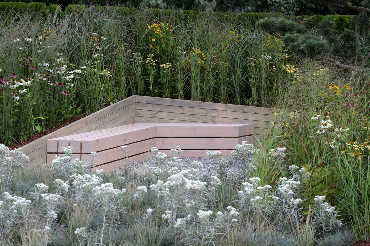 Обложка альбома: Многолетники