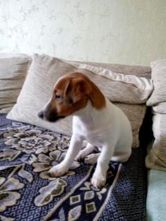 Наталья Маловец