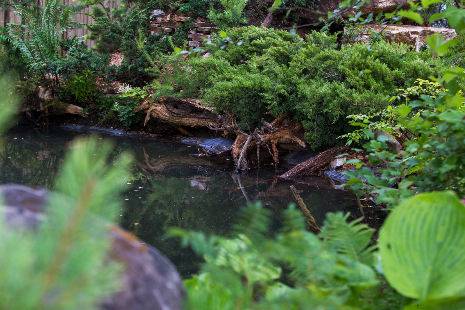 Сад Прометей - Сад, пробуждающий чувства -  The Garden that awakens feelings