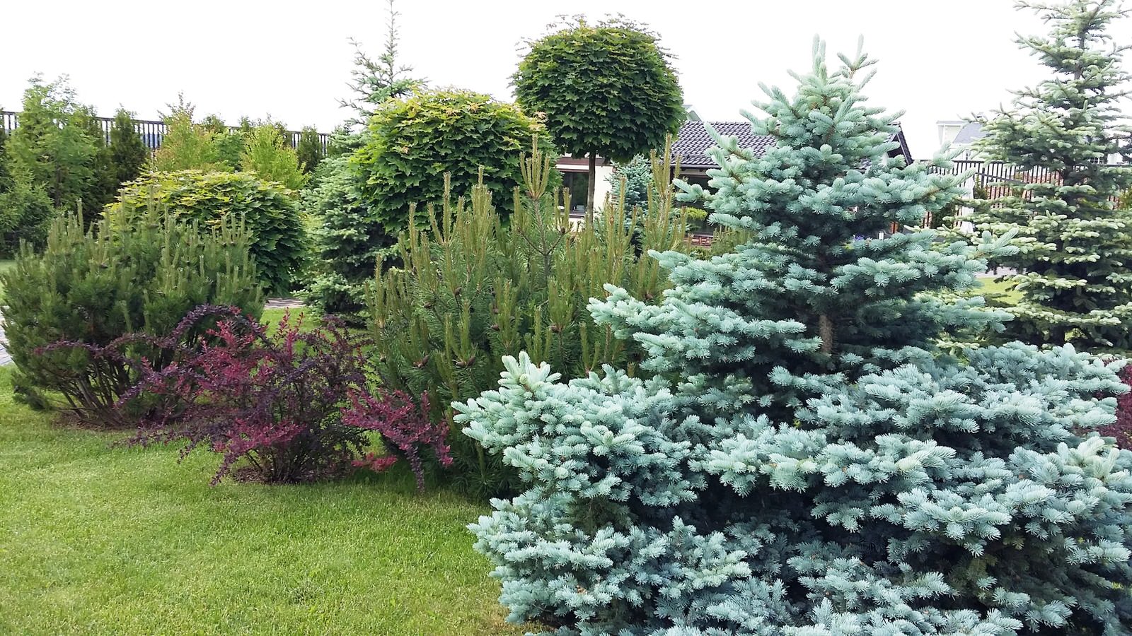 кп "Папушево" - Профессиональный уход за садом - 100% качество!