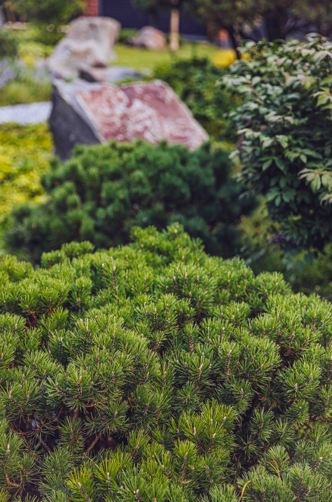Архитектурное Решение в Пейзажном Стиле