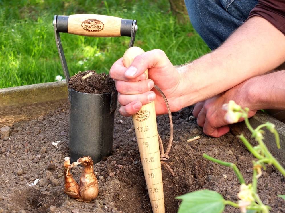 Работа над ошибками: Что пошло не так на клумбе