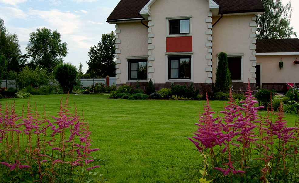 Обложка проекта: Участок в Тосно, 14 соток