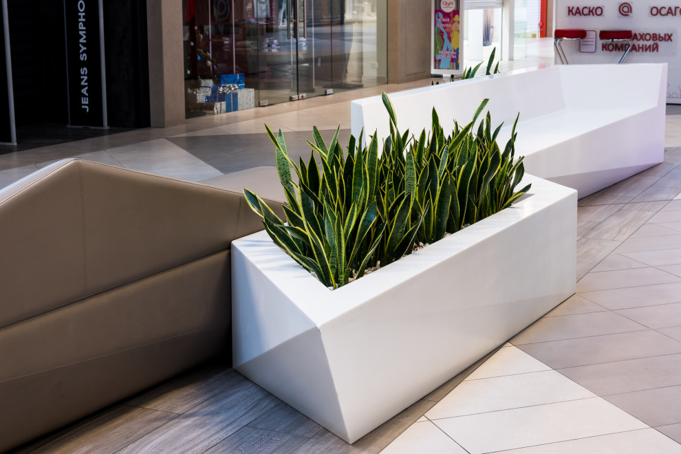 Мега Казань