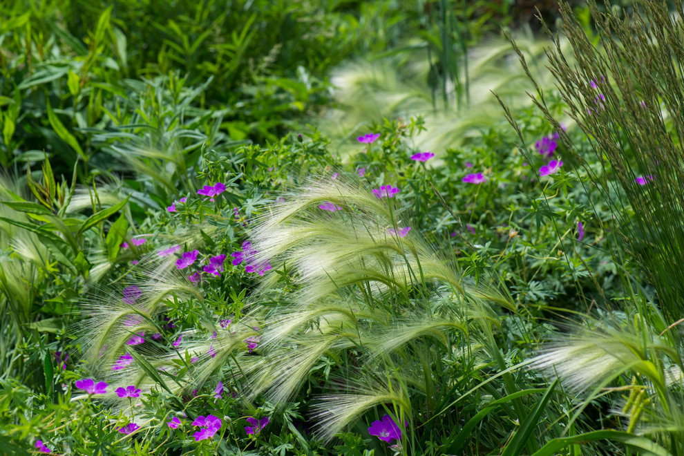 Цветник в  природном стиле  (" New Perennials"  или "Новая волна")