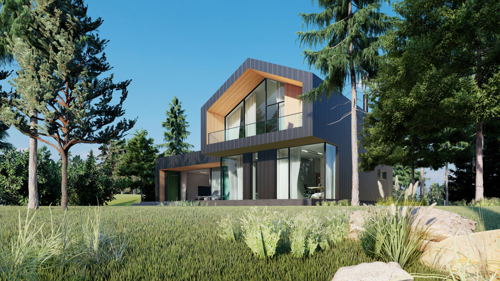 Обложка проекта: IZBUSHKA на курьих ножках (южный фасад)