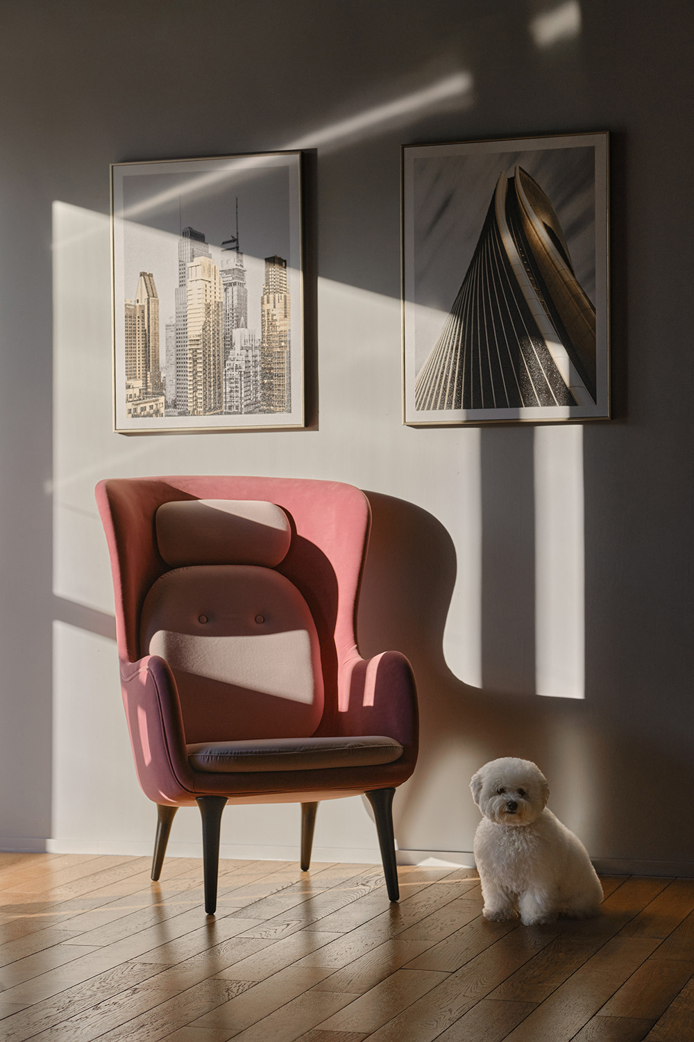 Фотосъемка для дизайнеров