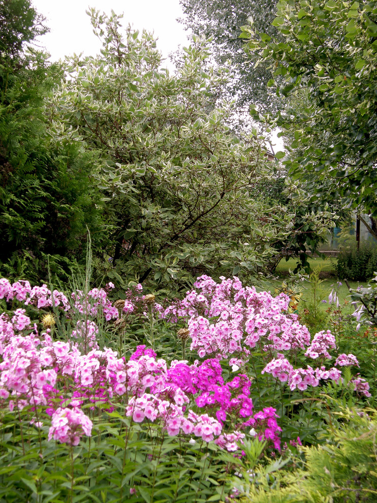 Миксбордеры и цветники. Наши работы прошлых лет.