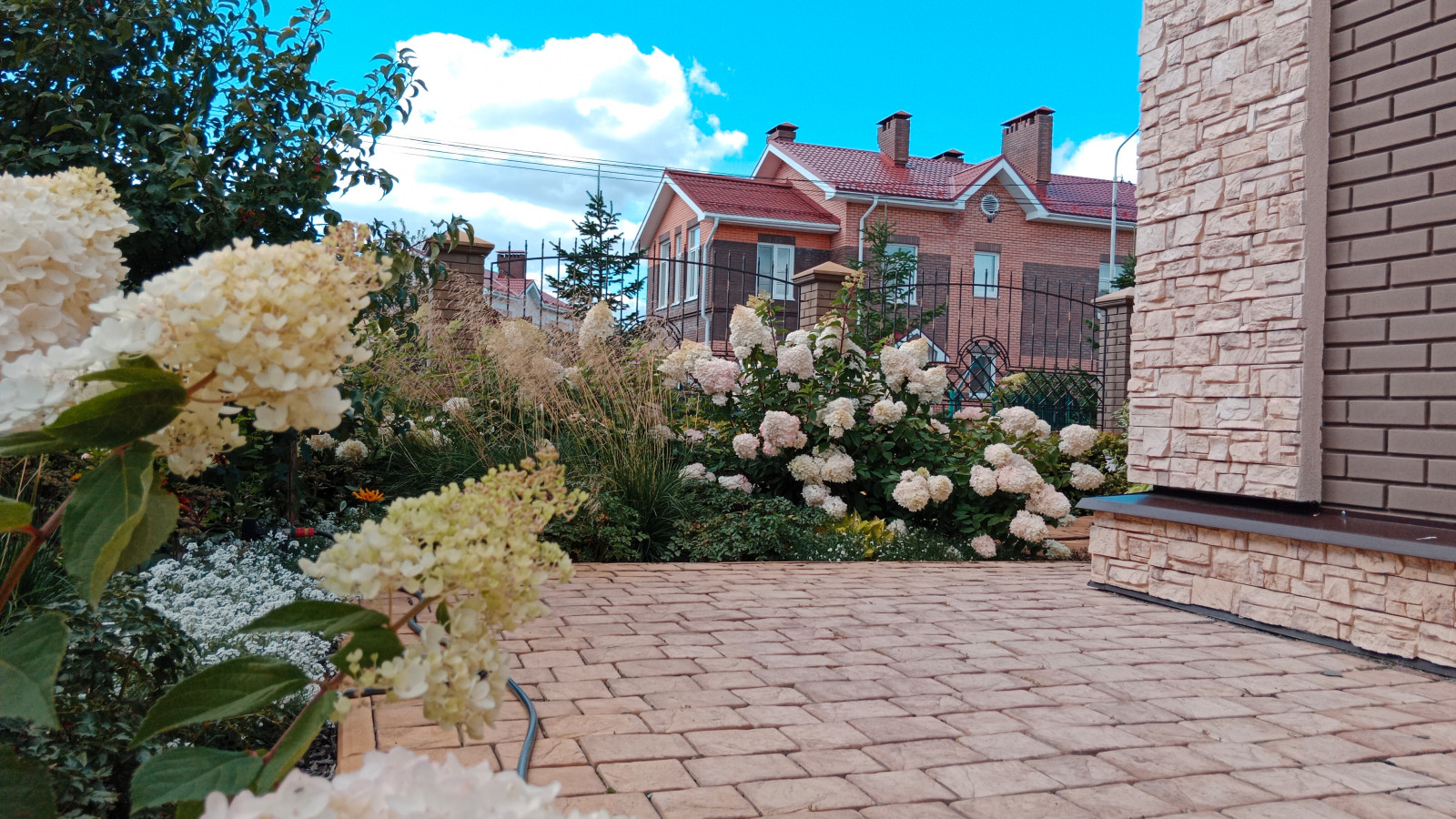 Серебрянный бор