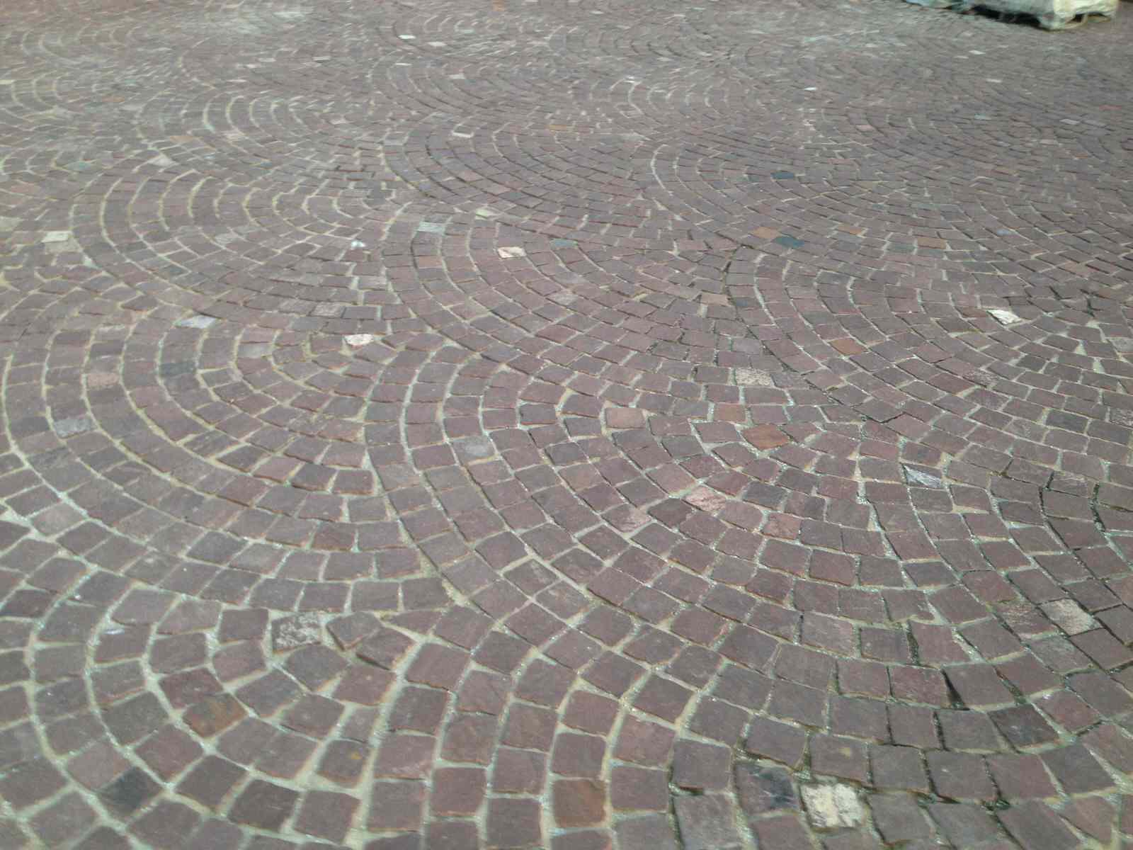 Обложка проекта: Лужки