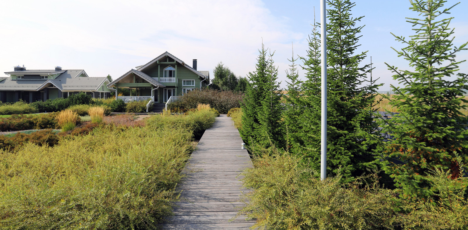 Полынный берег. Новые снимки