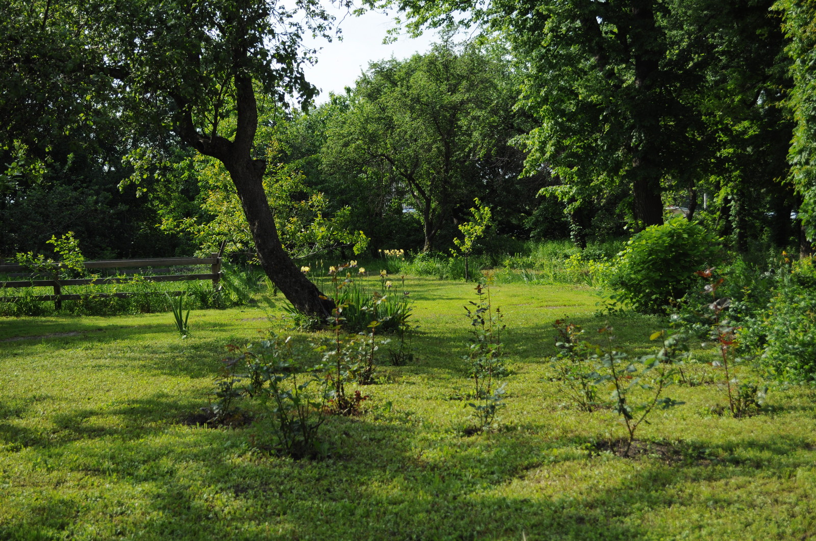 усадьба Писаревка