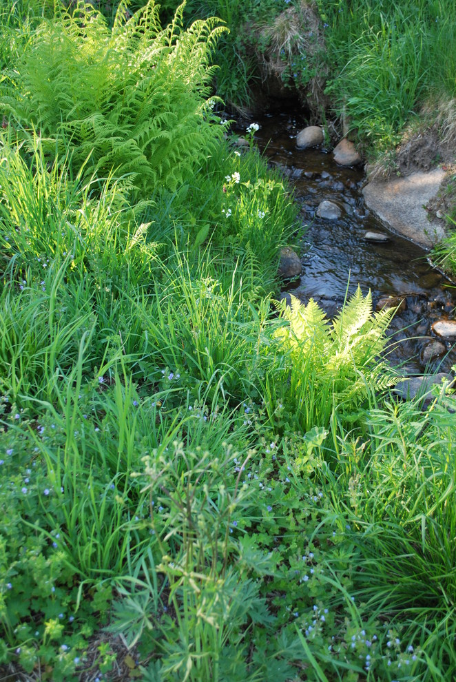 Сад натуралистического стиля