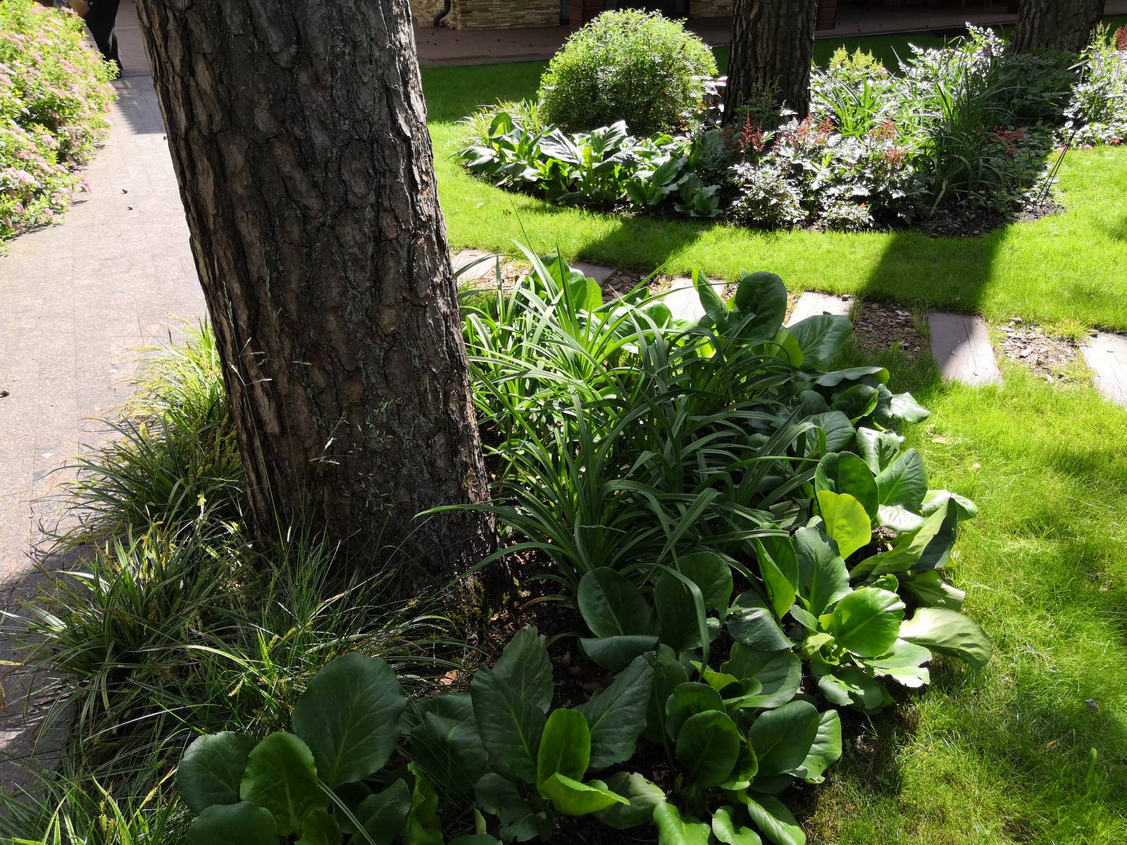 12 сот в лесу