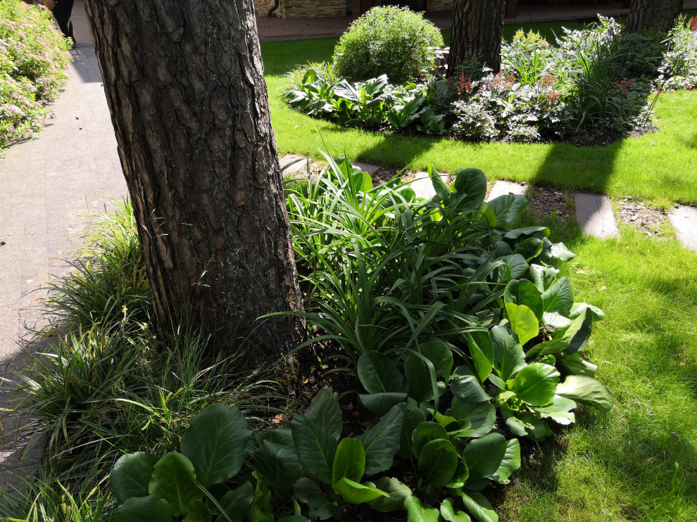 12 сот в лесу