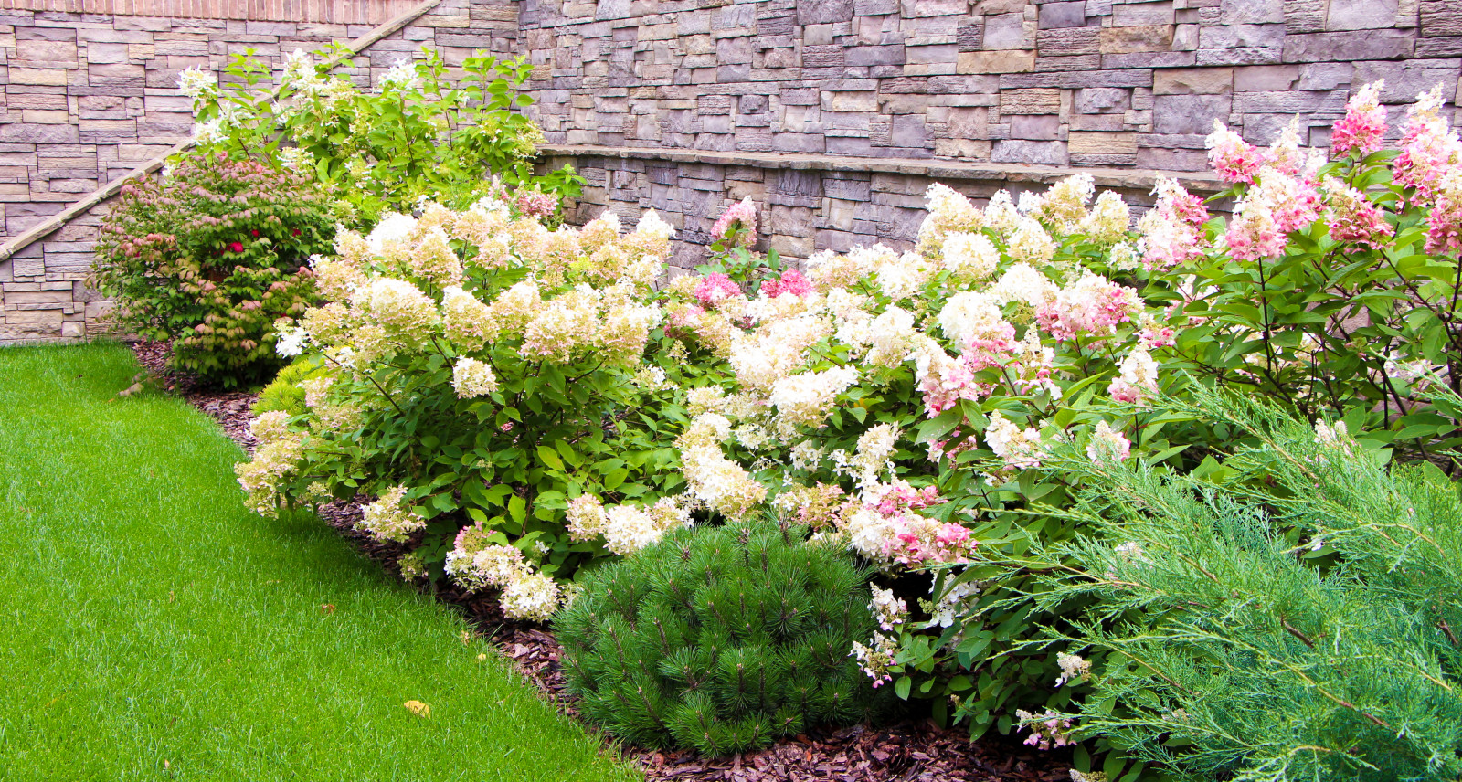 Лобаново, 2012-2021 гг.