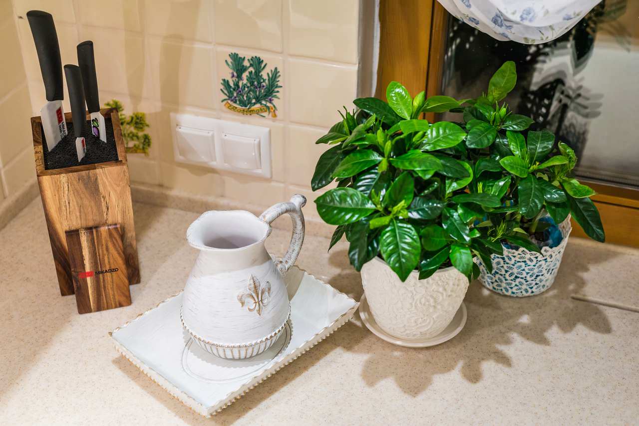 WESS для Ангелины Вовк