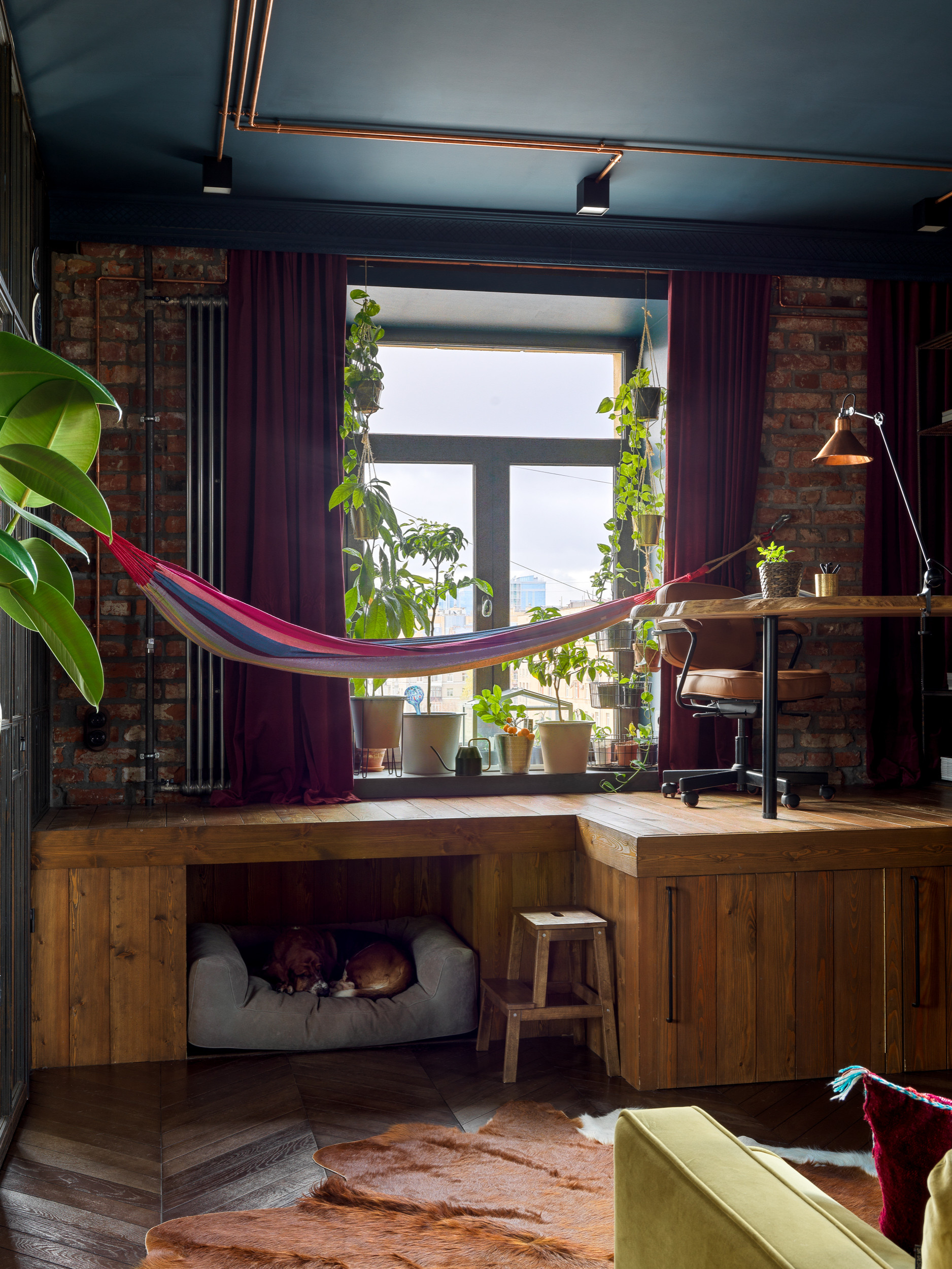 Houzz тур: Лофт в Петербурге с домиком для собак